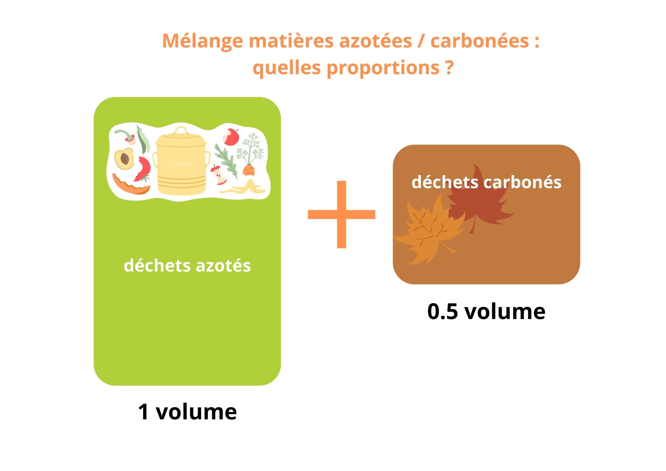 Proportions entre matières azotées et carbonées