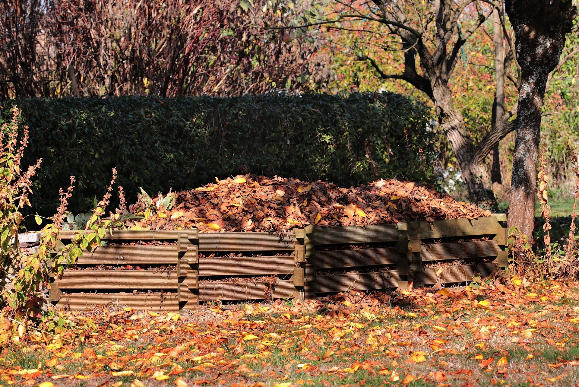 Tas de feuilles mortes en attente de valorisation 